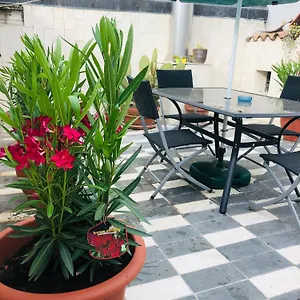 Sophia Center Loft Verona